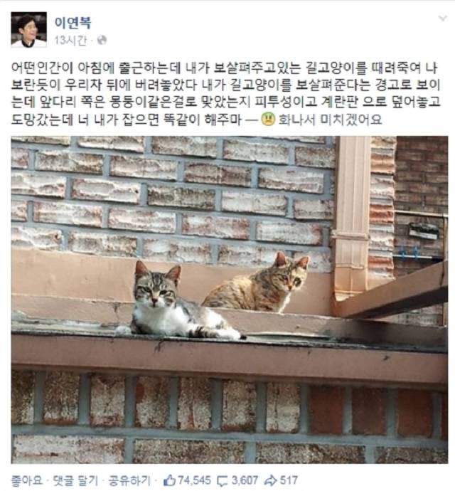 캣맘 출처:/이연복 SNS