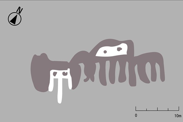 왼쪽의 혀를 내민 괴수의 잘린 머리와 오른쪽의 다리여럿인 동물. 사진=야마가타대