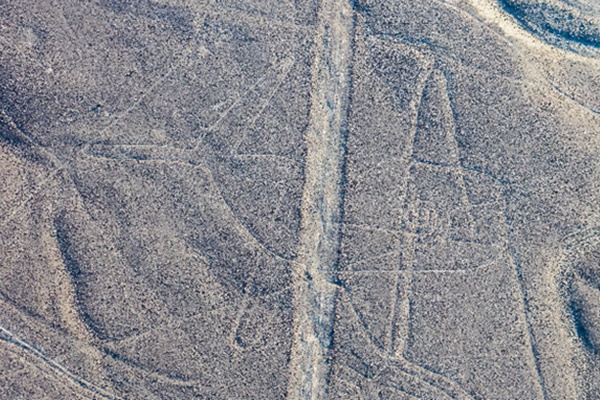 나즈카 사막 지상화 가운데 하나. 고래의 모습을 그리고 있다. 팬아메리카 도로가 그림을 질러 가고 있다. 사진=위피키디아. 