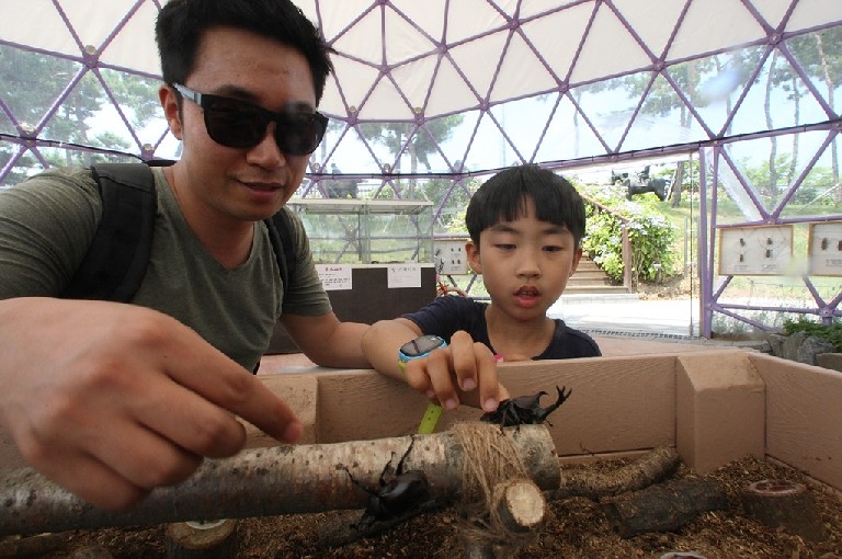 렛츠런파크 부산경남에서 개최중인 곤충체험전에서 아빠와 함께 장수풍뎅이를 만져보고 있는 아이.