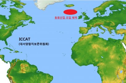 동원산업은 지난해 10월 3일 고위도(高緯度) 북대서양 참다랑어를 어획해 지난달 일본에 수출했다고 3일 밝혔다. 그래프=동원산업 제공