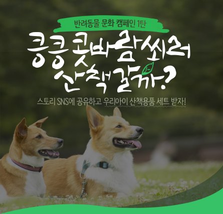 인터파크는 반려동물 전문몰 ‘인터파크 펫’ 모바일 앱을 통해 반려동물 관련한 올바른 문화 정착을 위한 캠페인에 나섰다. 사진=인터파크 제공