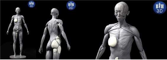 3D프린팅 전문 학원 ‘BH3D조형학원’에서 30㎝(6분의 1 스케일) 여성 인체모형이 새롭게 출시됐다. 사진=BH3D조형학원 제공