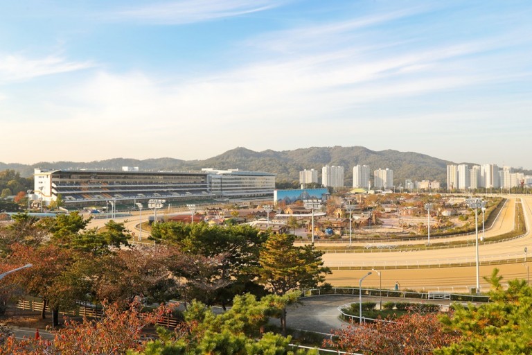 한국마사회 렛츠런파크 서울 전경