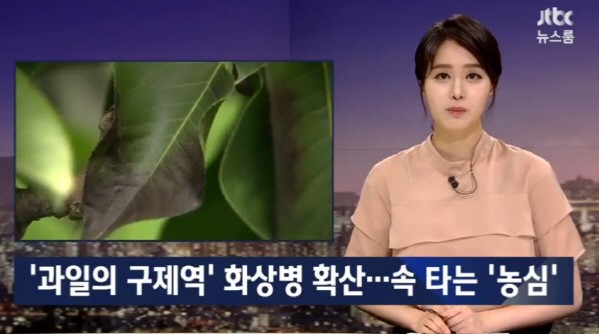 사진=JTBC 뉴스룸 