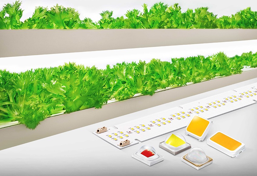 삼성전자 식물 생장용 LED 패키지와 모듈