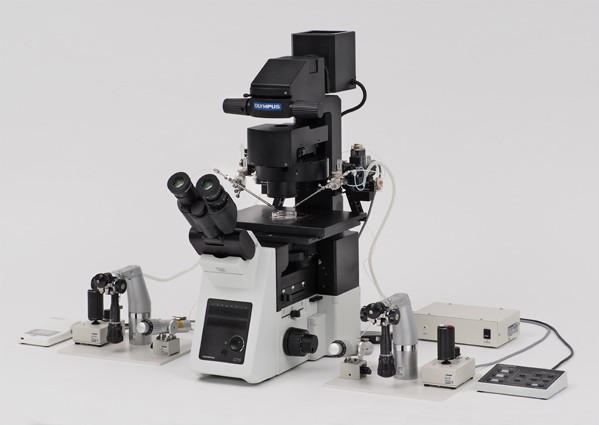 올림푸스 생물현미경 ‘IX3-ICSI’와 ‘IX3-IMSI’사진=올림푸스 제공
