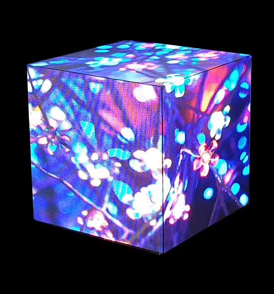 Cube 6(큐브 식스) LED