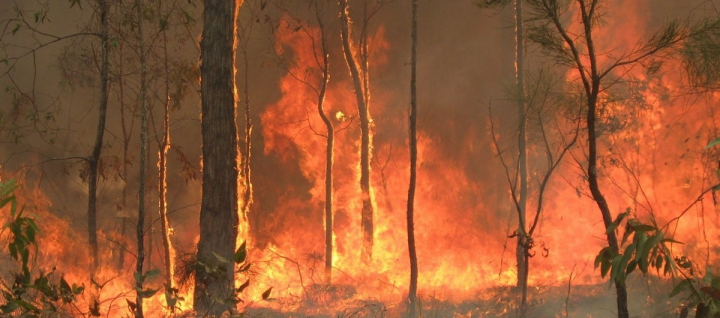 호주 기상 당국은 5개월째 꺼지지 않은 전례 없는 산불이 또 다른 산불을 일으키는 기상이변을 초래하고있다고 경고했다.