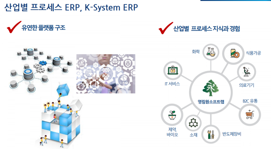 구축형 산업별 ERP인 K-시스템 에이스.