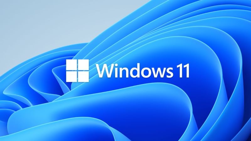 마이크로소프트 윈도우11