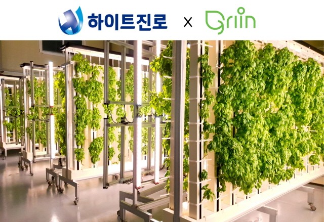 하이트진로가 스타트업 ‘㈜그린’과 지분 투자 계약을 체결했다고 16일 밝혔다. ㈜그린 김포 도시 농장