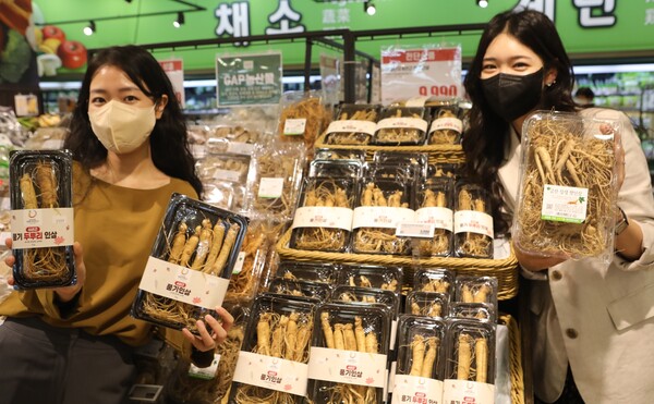 30일 서울시 중구 봉래동에 위치한 롯데마트 서울역점에서 모델들이 '풍기/금산 인삼'을 홍보하고 있다.