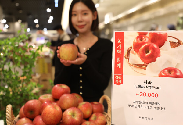 20일, 서울 강남구에 위치한 현대백화점 무역센터점 지하 1층 식품관에서 직원이 상생특가 사과를 소개하고 있다.