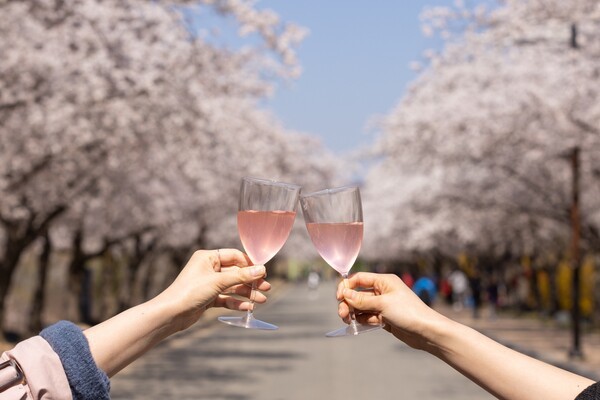 켄싱턴호텔 여의도_ 호텔 벚꽃길에서 즐기는 피크닉