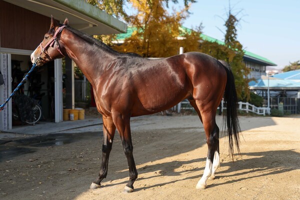 "(기획1)(사진4) 마이티코드.jpg" "(기획1)(사진1) 마이엠파이어.jpg" "(기획1)(사진2) 원평스킷.jpg" "(기획1)(사진3) 크레이지스타.jpg"