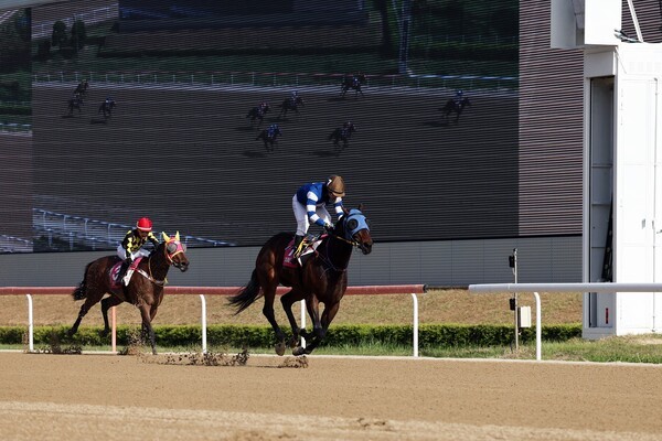 코리안 오크스 우승마 판타스틱밸류와 서승운 기수.