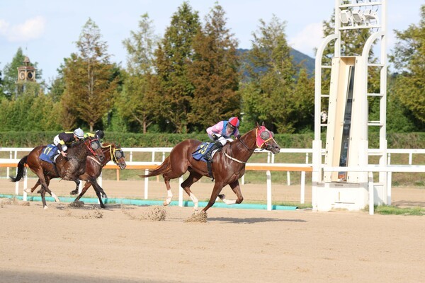 문화일보배 우승마 무제한급과 빅투아르 기수.