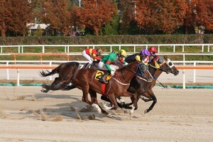 [경마]제14회 스포츠월드배, ‘위즈리얼리티’ 극적인 추입승 거둬