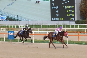 [경마]렛츠런파크 부경 브리더스컵 루키, 국산 2세마 중 최고는 누구?