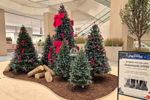 롯데百 동탄점, 크리스마스 트리와 장식품 ‘그리밋’ 팝업스토어 운영